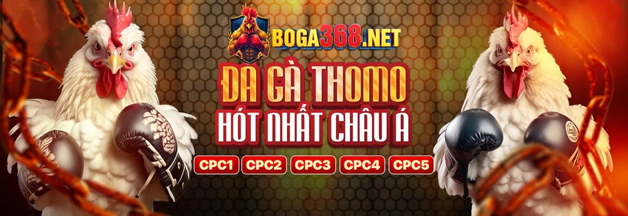 Biểu tượng các lợi ích của Subet