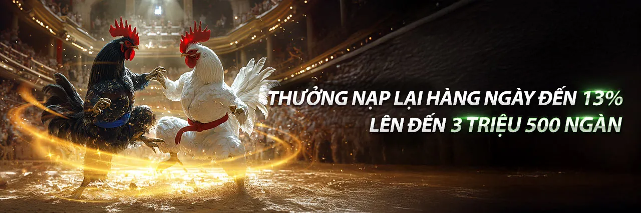 Subet Chính Thức Bắn Cá